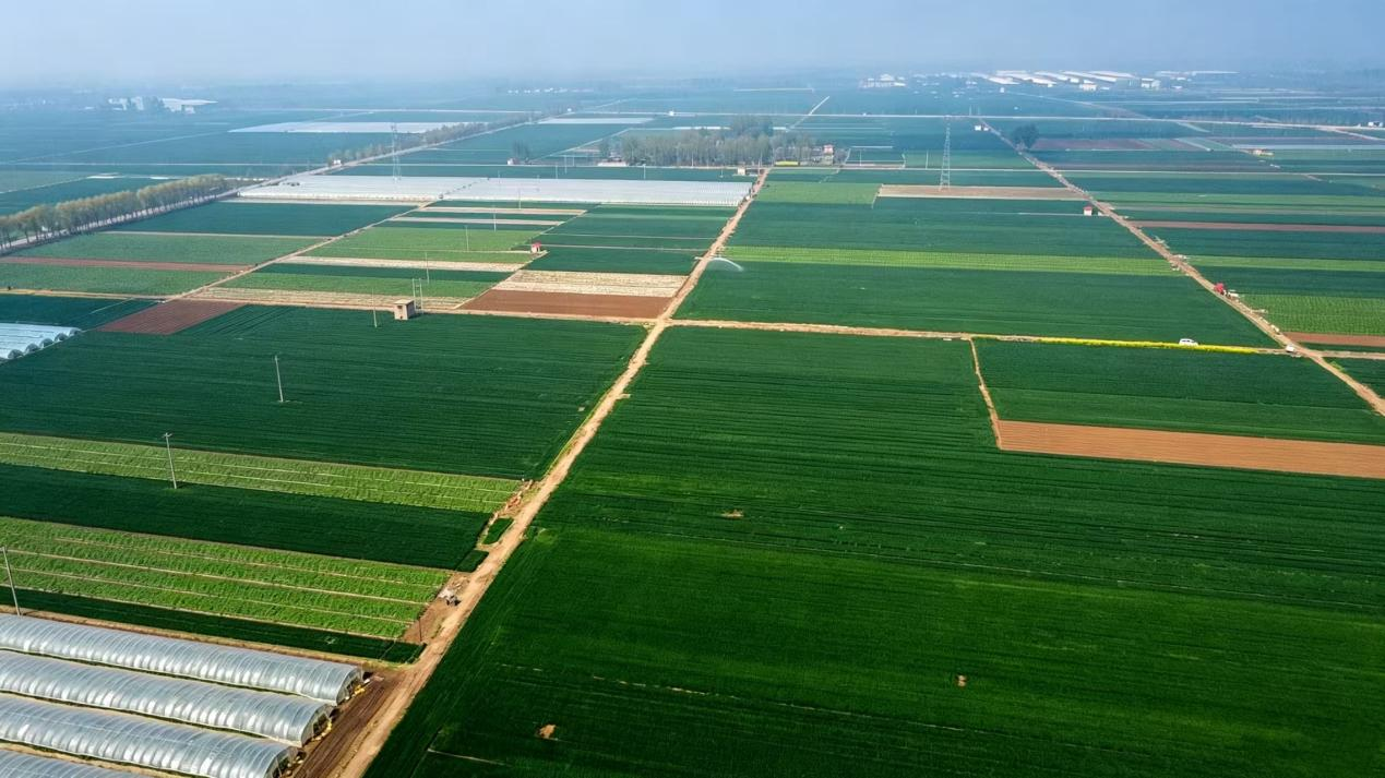 沃野平川(王浏阳 摄)