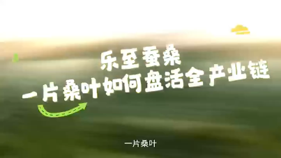 视频 | 一片桑叶如何盘活全产业链
                                                        