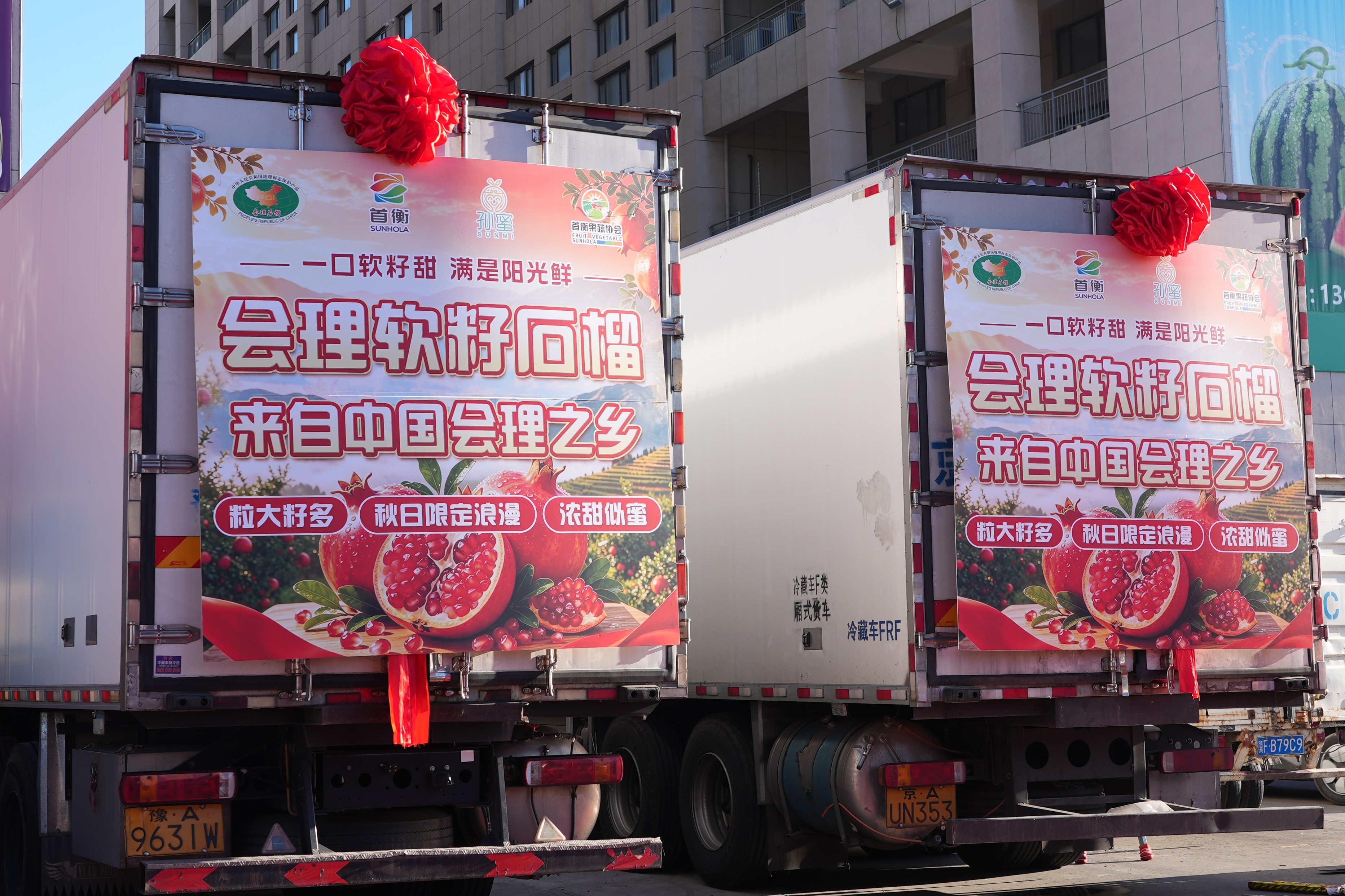 会理石榴登陆高碑店(何淞阳 摄)