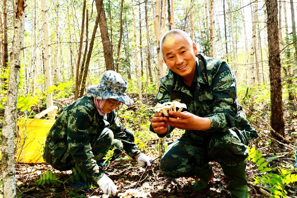 阿木尔林业局依东林场职工面对已采集的毛尖蘑,露出开心的笑容。(王力 摄)