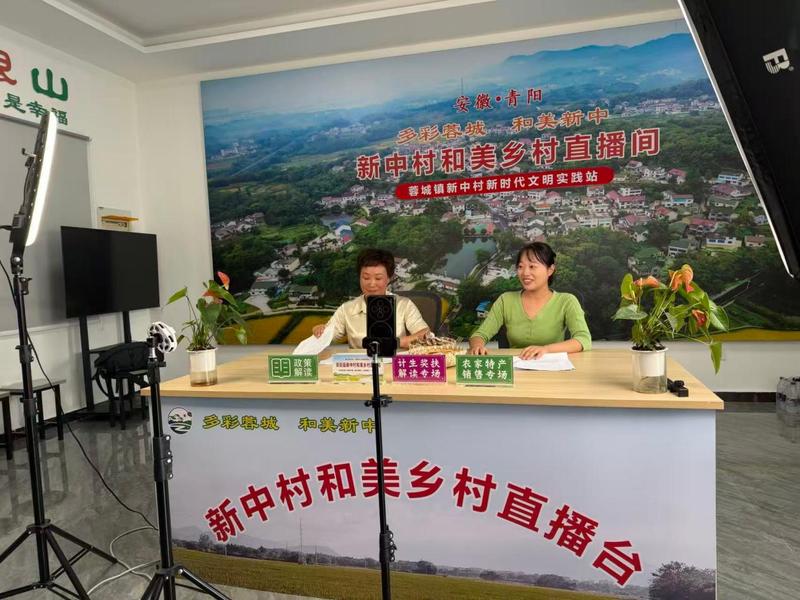 直播现场(汪红霞 摄)