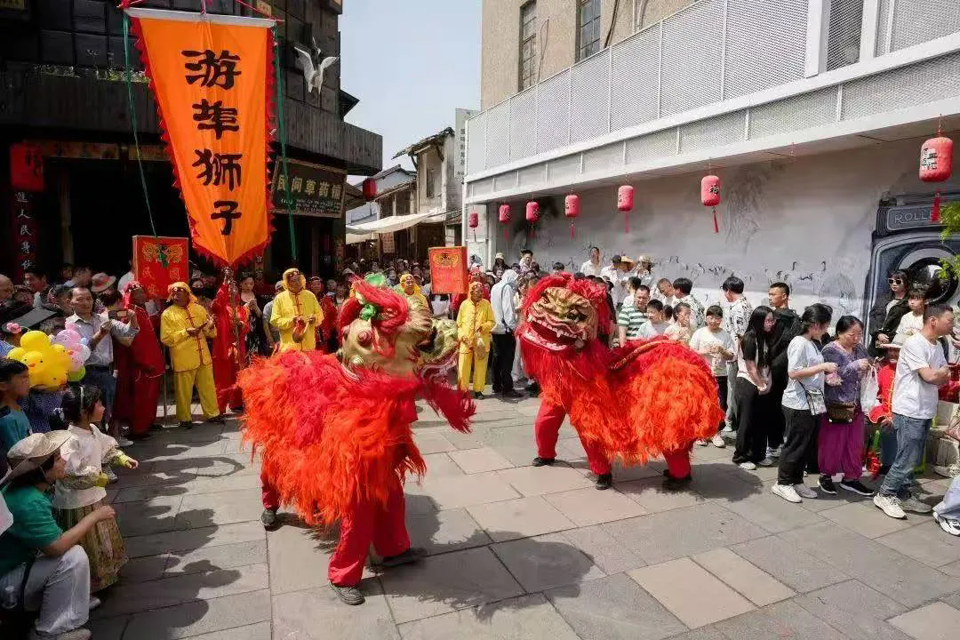 游埠古镇舞狮一景 (廖梦欣 摄)
