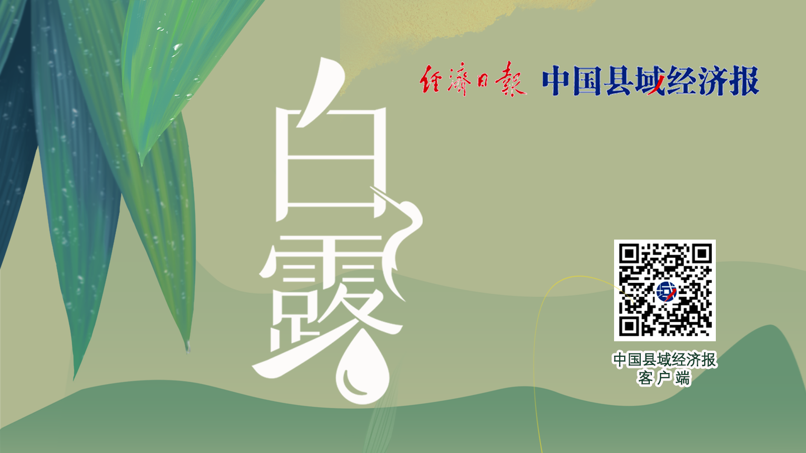 白露 | 海报