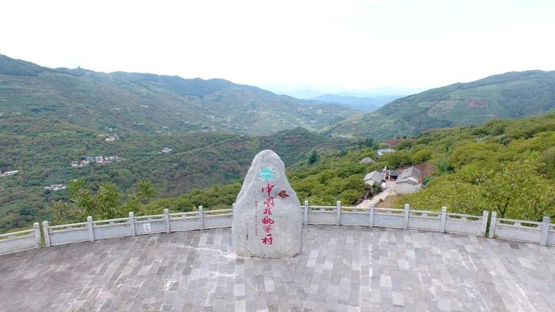 永平核桃种植基地(杨福军 摄)