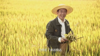 视频 | 相约澴川 礼赞丰收
                                                        