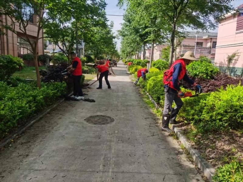 治理现场(李彤 摄)