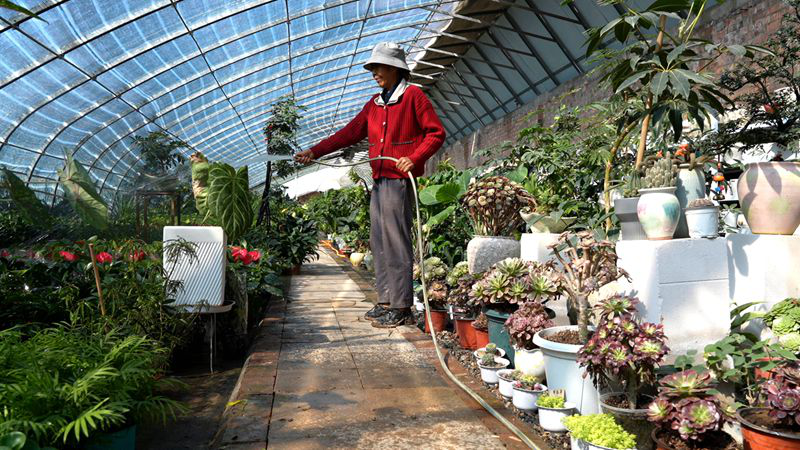 温情浇灌每一束繁花,佐雅花坊用心管护,定格温宿四季花香。(艾海提·毛勒吐尔迪 摄)
