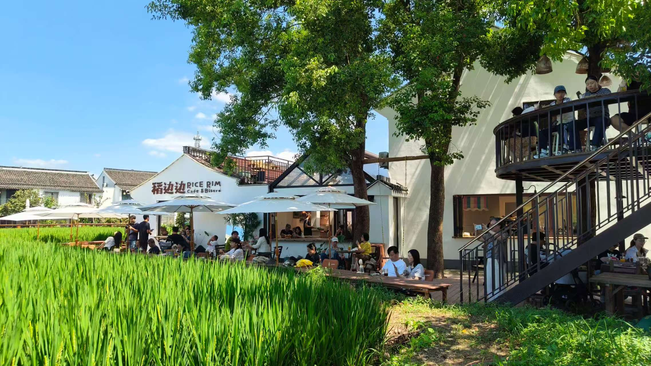李窑村的稻边边咖啡业态一景 (曾庆华 摄)