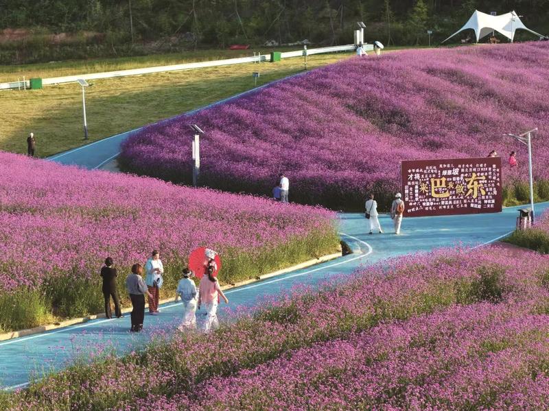 游客游览野三关绿葱坡旅游度假区(焦国斌 摄)