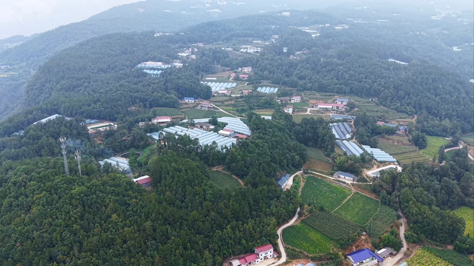 布政村高山蔬菜基地(田亚敏 摄)