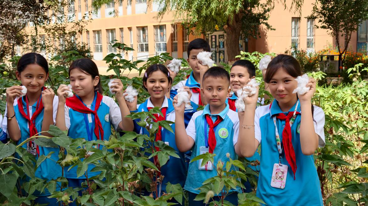 阿瓦提县鲁迅小学学生正在校园劳动教育基地采摘棉花 (徐芸 摄)