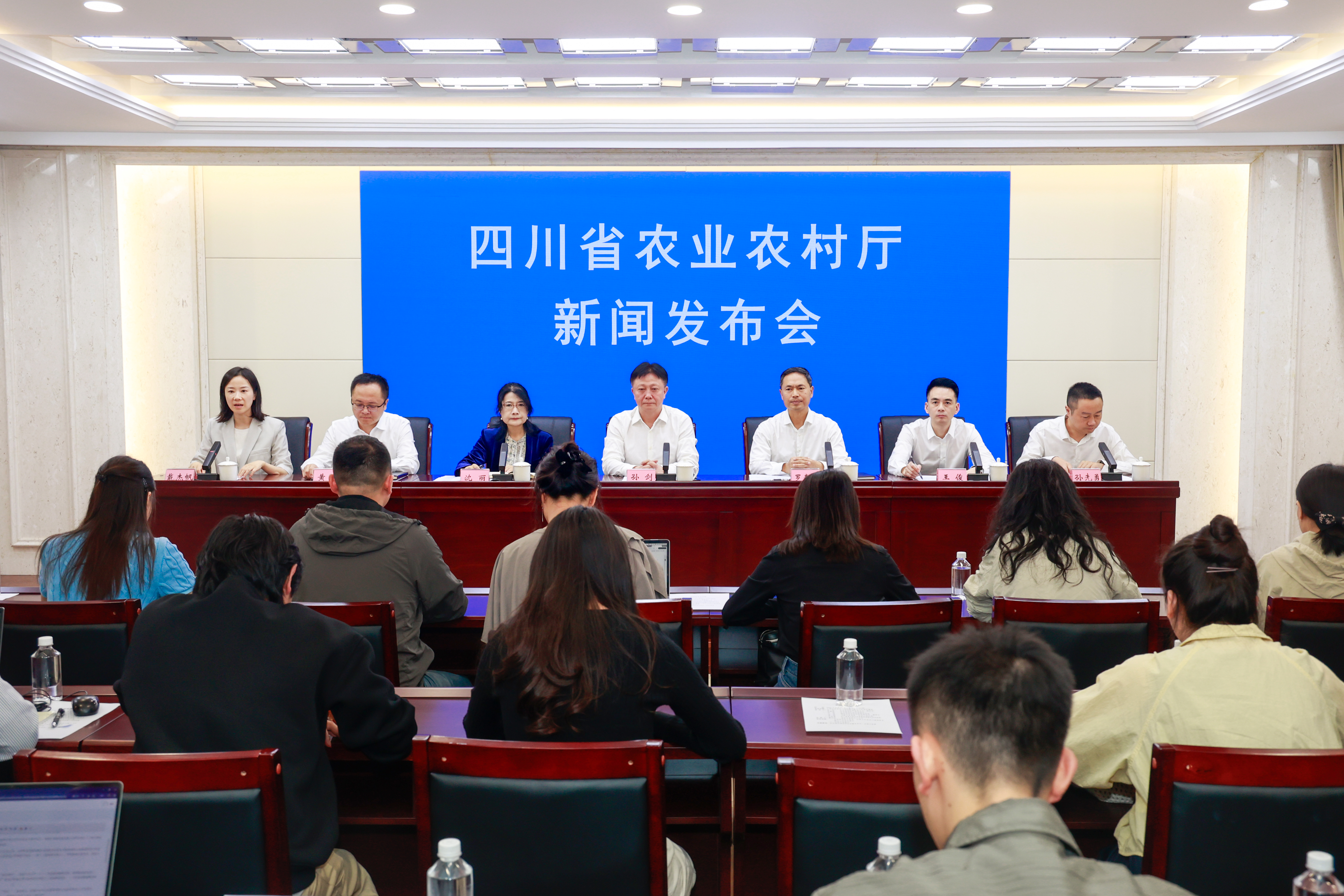发布会现场(戚原 摄)