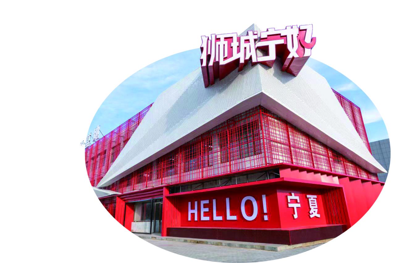 盐池县狮城宁好电商网批(西部)运营基地(张阳 摄)