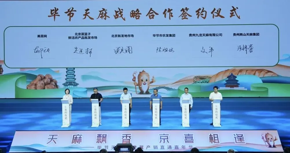 毕节天麻战略合作签约仪式(燕航 摄) 配图2