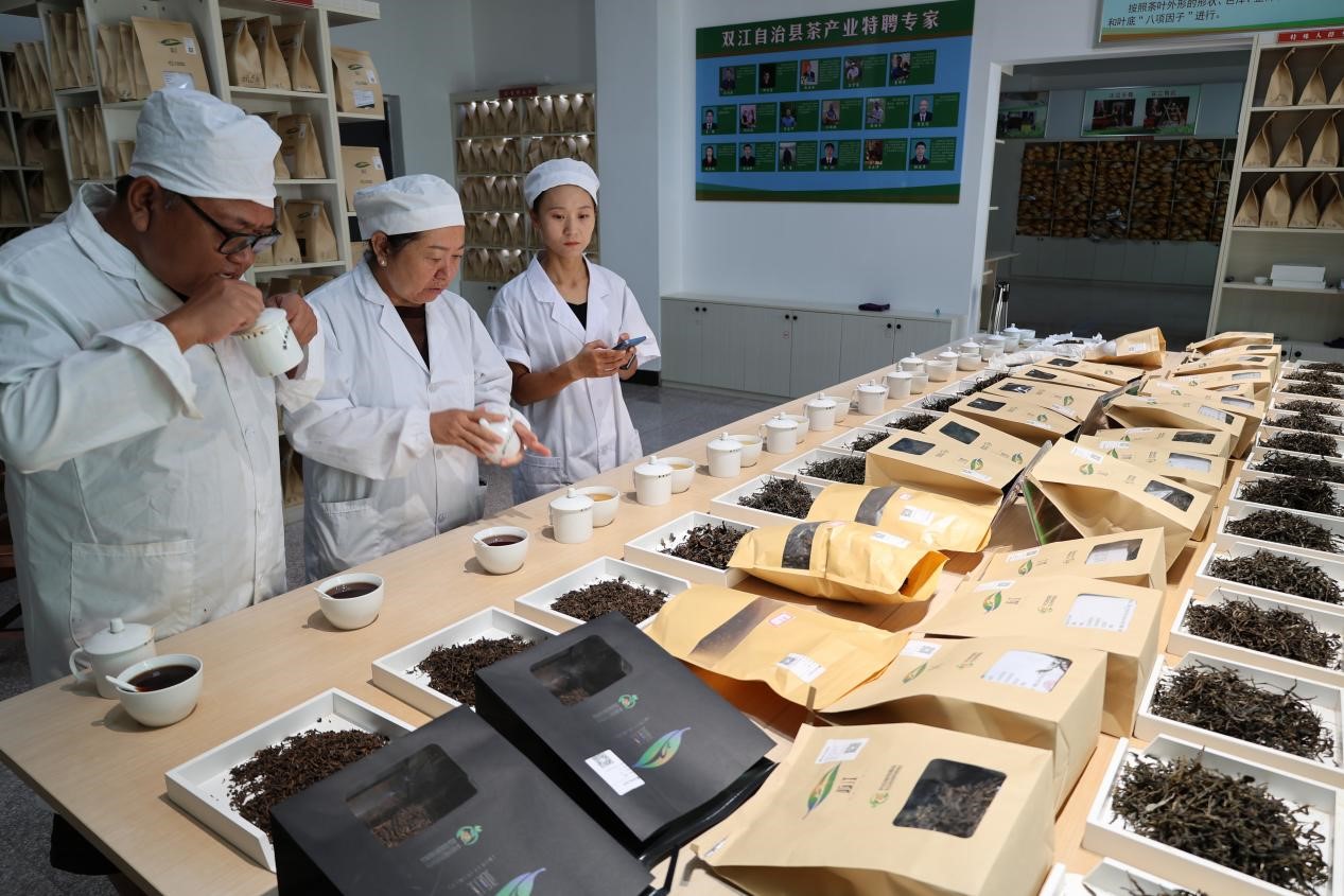 双江县茶叶检测品荐溯源中心的专家在评审茶叶 (严兴勇 摄)