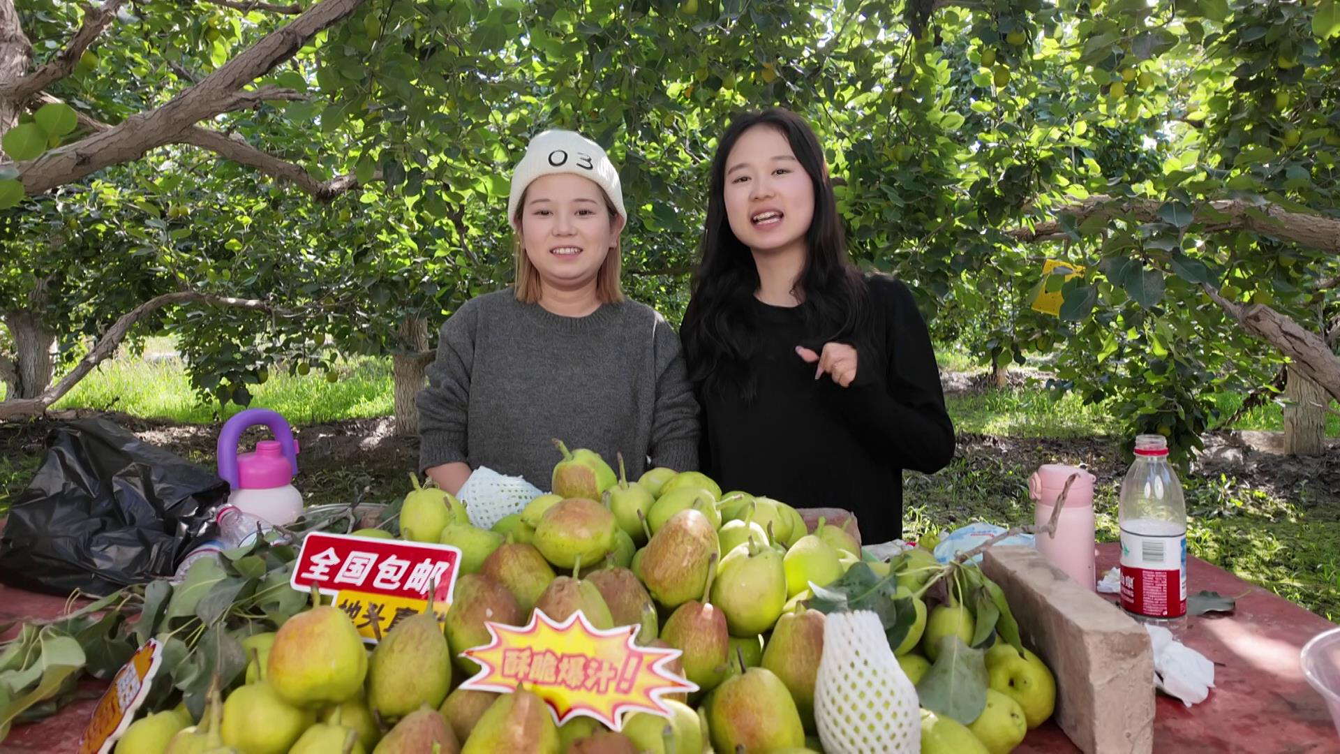 电商直播团队正在田间直播助农介绍香梨(孙季鸿 摄)