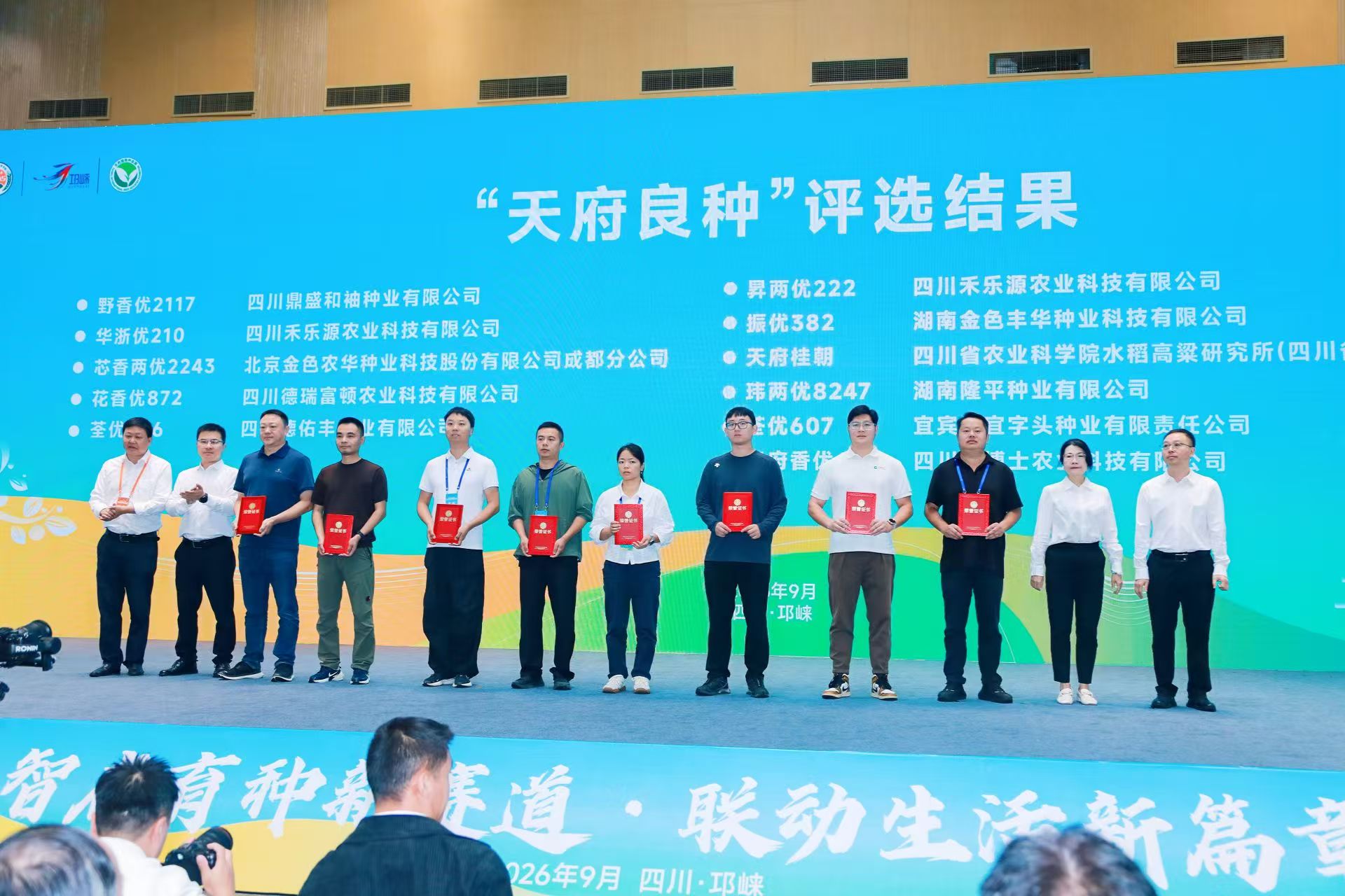 活动现场(陈琼 摄)