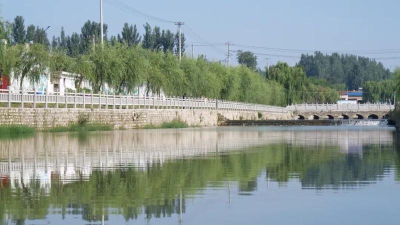 岸绿水清河湖美(刘桠琪 摄)