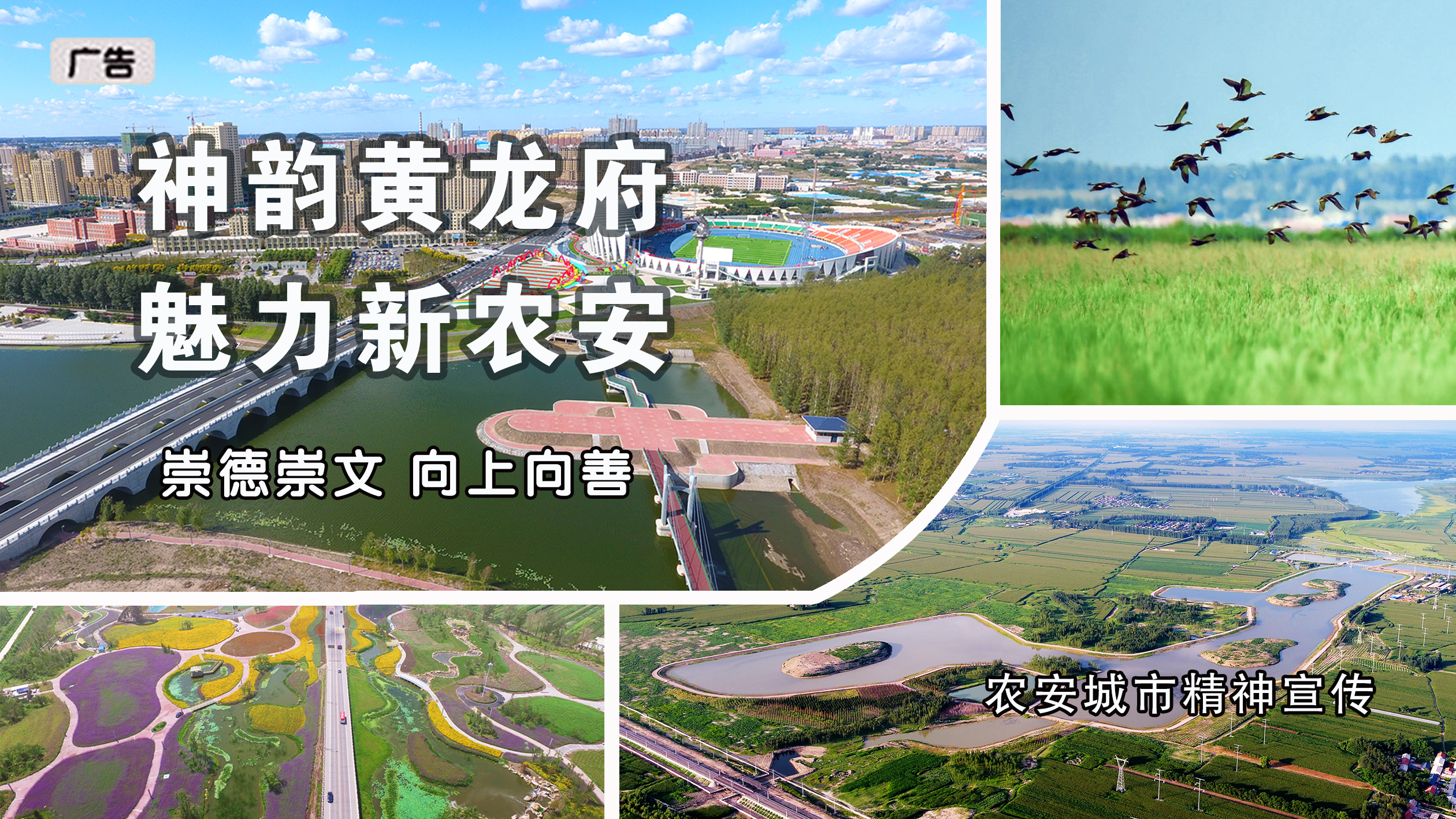 （广告）魅力新农安