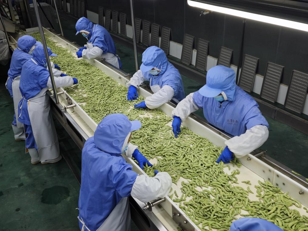 贡享食品深加工项目激活乡村发展动能(罗晓雪 摄)