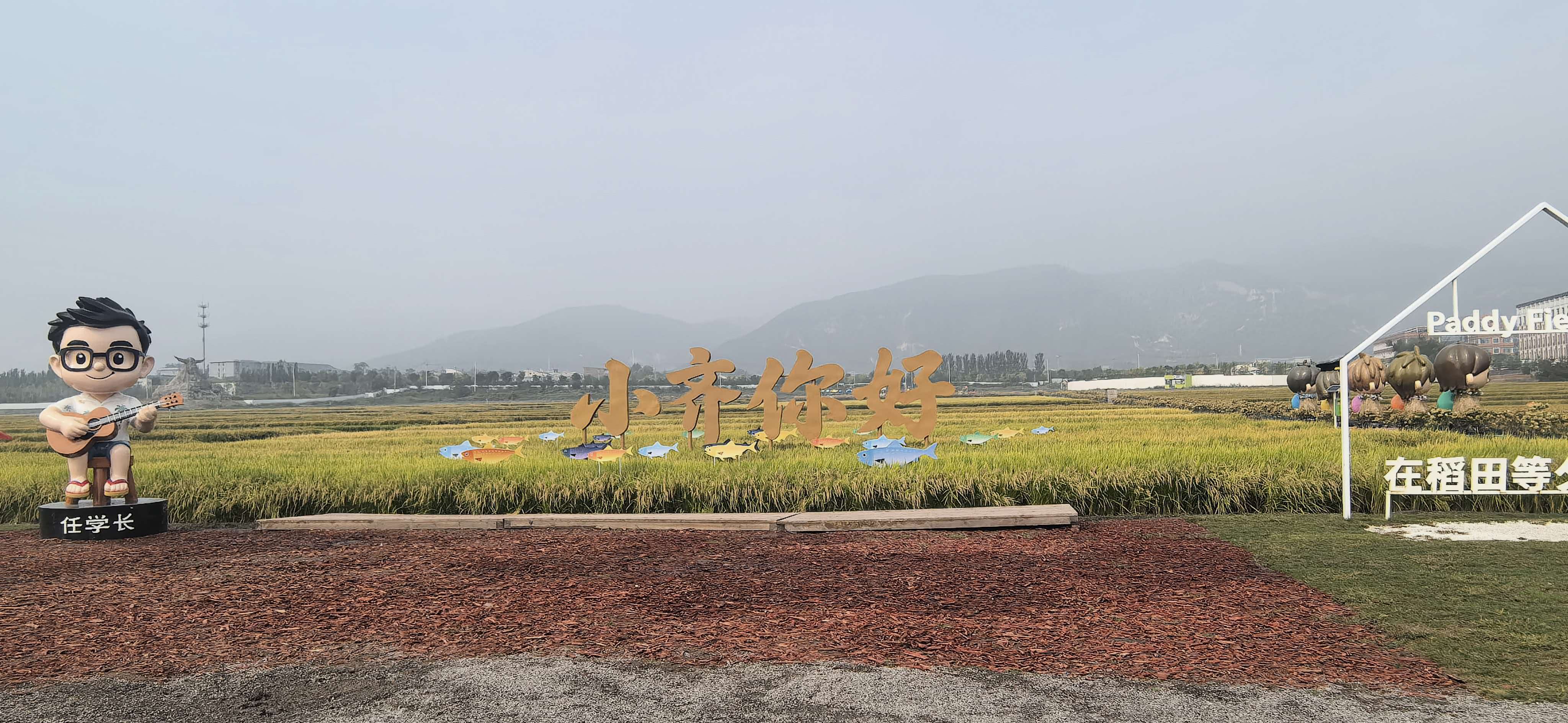 新闻发布会场设在稻田公园里(席兆平 摄)