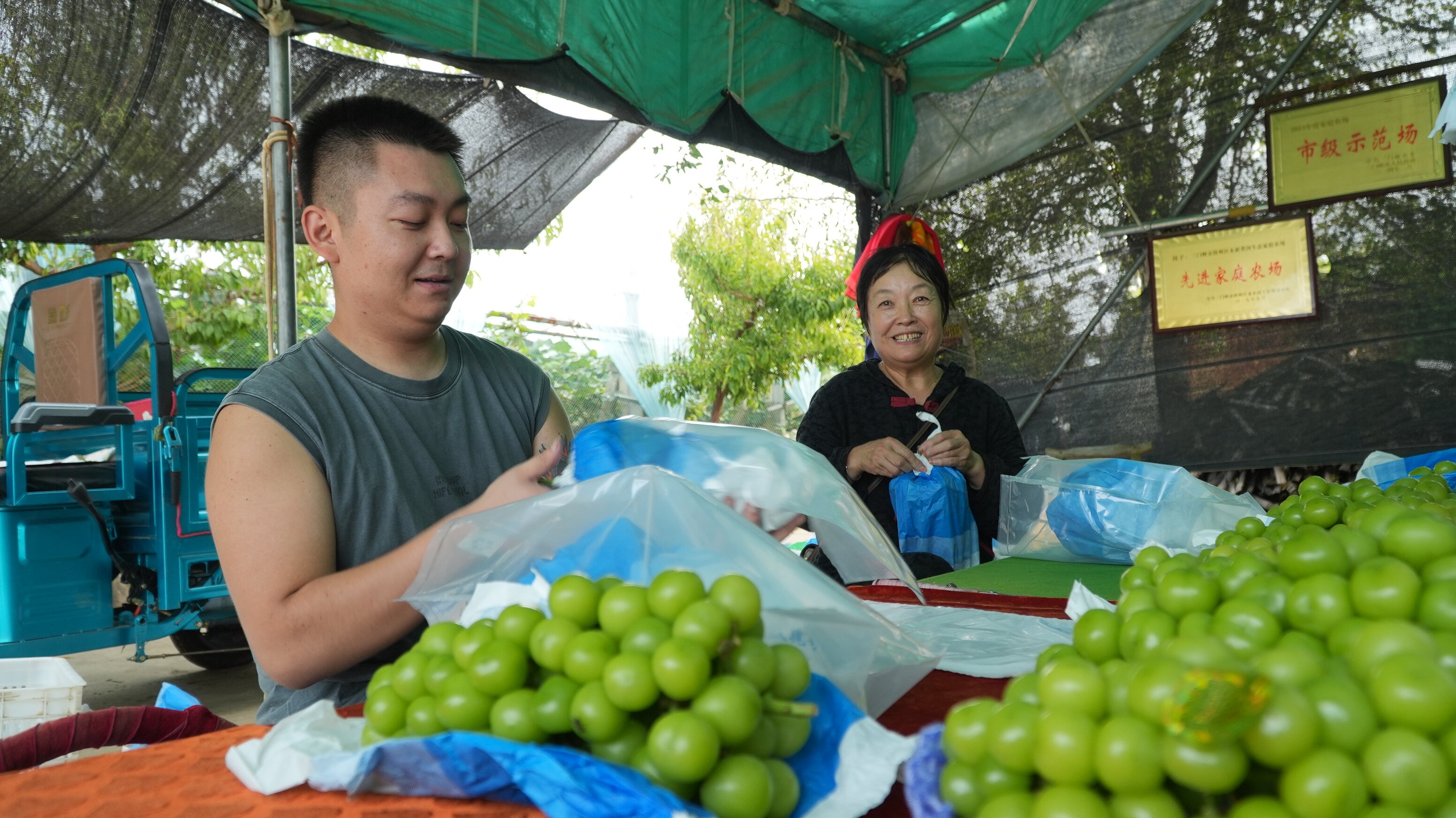 葡萄种植园农户正在整理打包发往全国各地 (王青伟 摄)