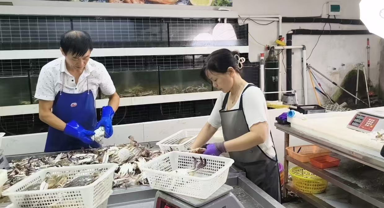 “一条鱼”直播共富工坊正在分炼海鲜水产品(曾庆华 摄)