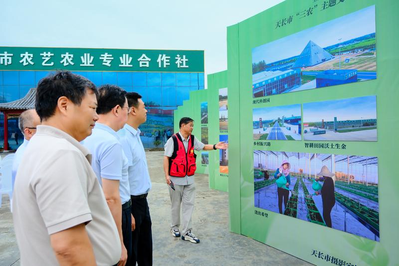“全面取消农业税20周年”天长市“三农”主题文艺作品展(李玉建 摄)