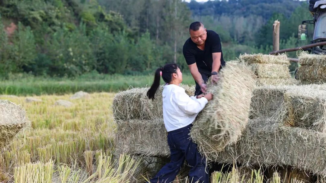 刘鹏程(右)和杨燕(左)正在田间劳作(刘江 摄)