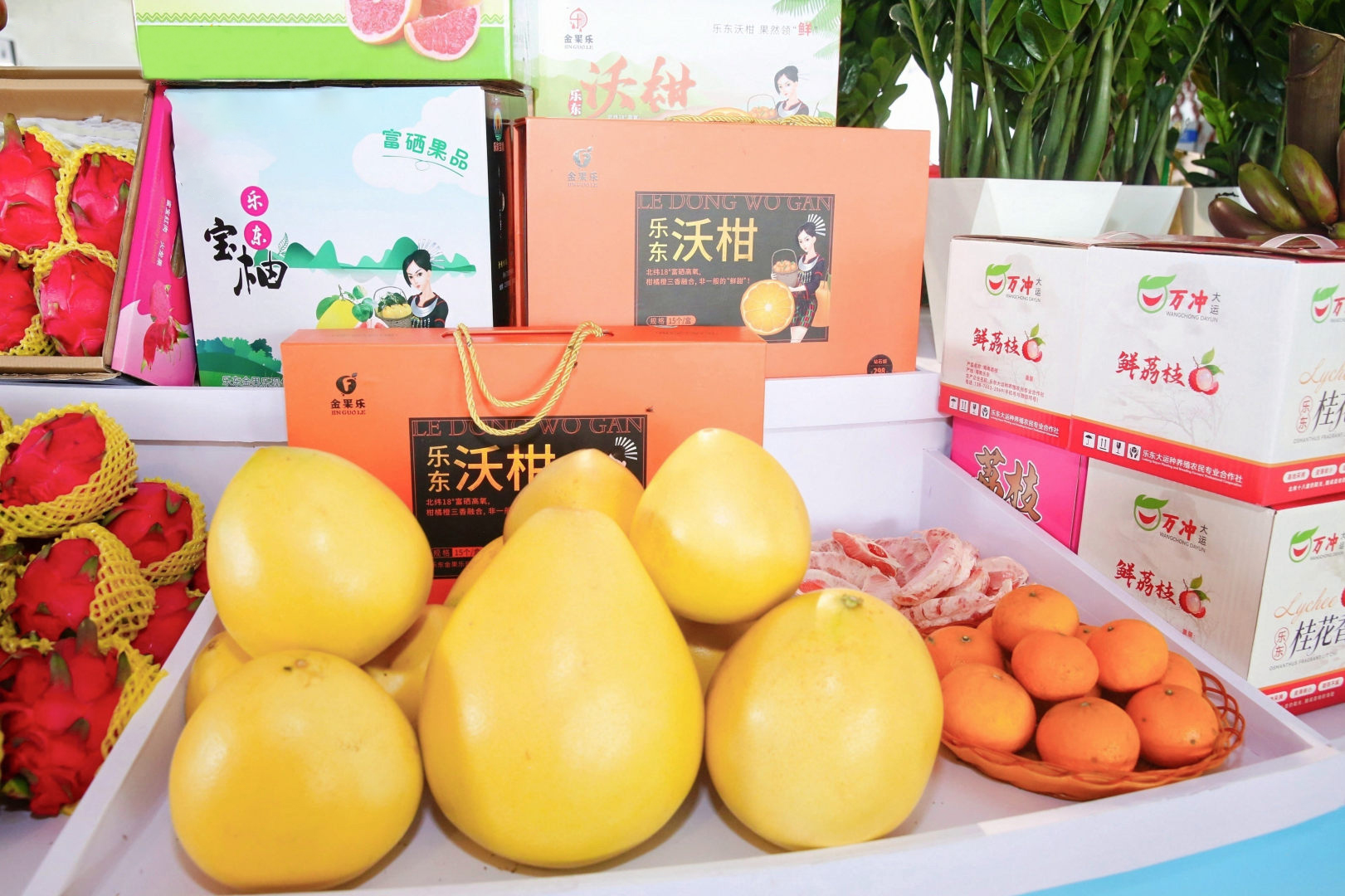 乐东沃柑等特色农产品在丰收节现场展出(王强 摄)