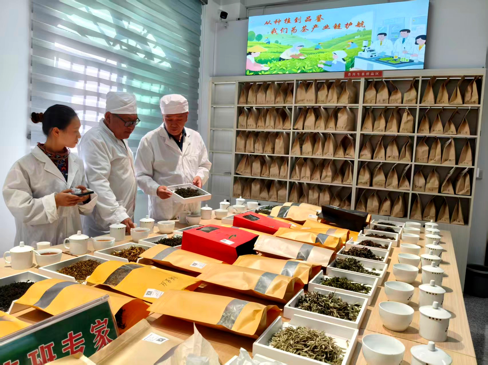 专家团队协助茶叶检测品荐溯源中心开展茶叶品荐(王明世 摄)