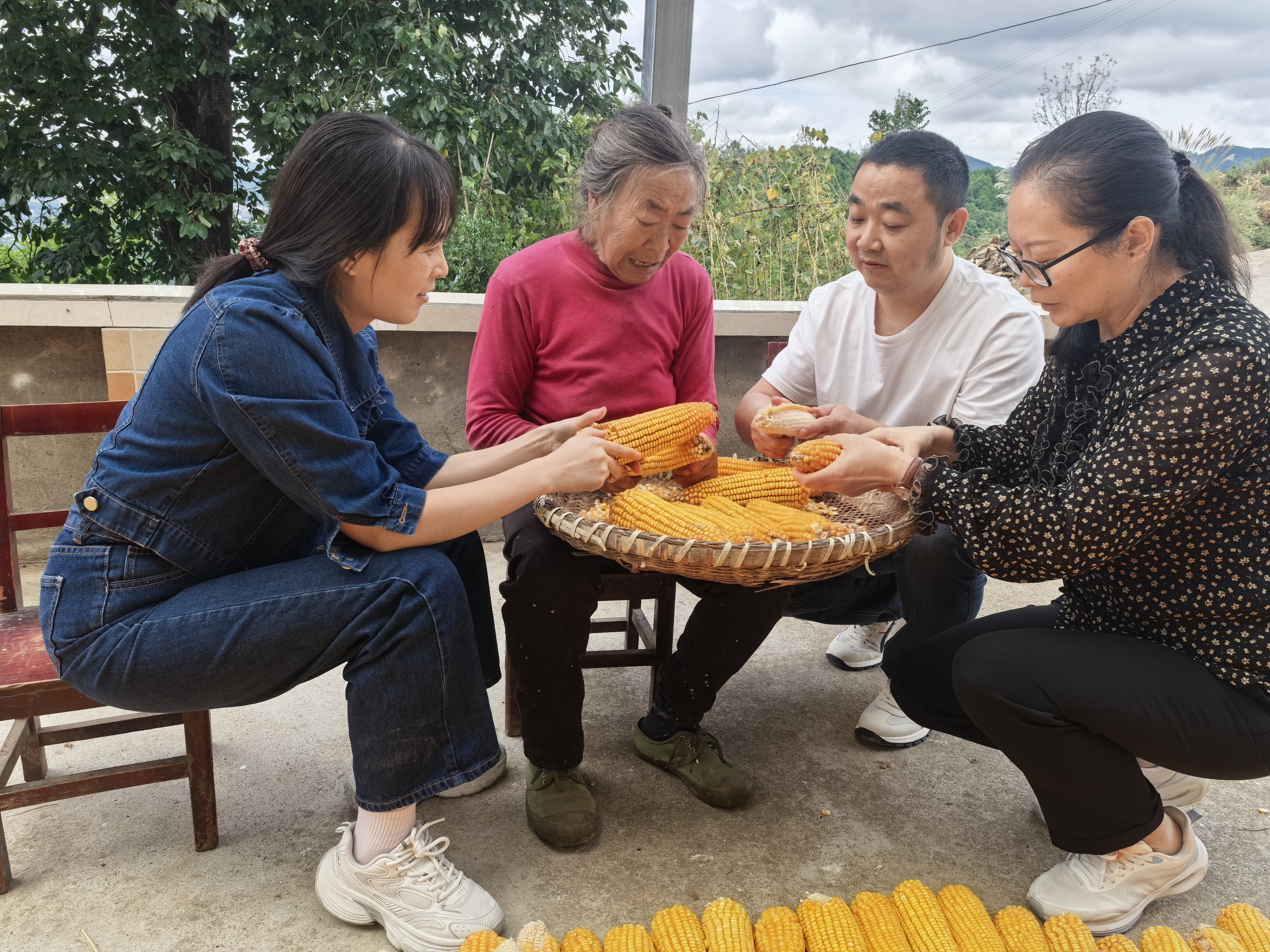 主动帮忙剥玉米(冉金鹭 摄)