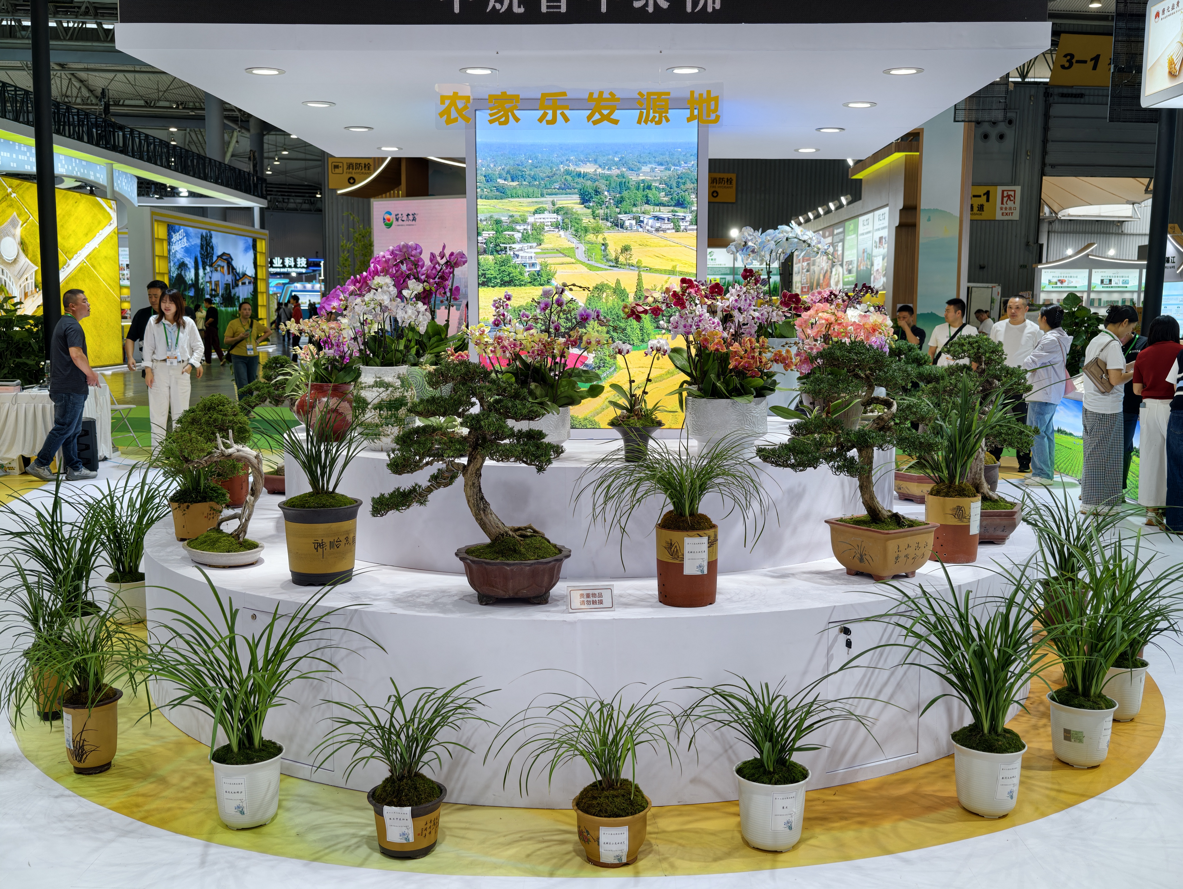 农博会郫都展区(戚原 摄)
