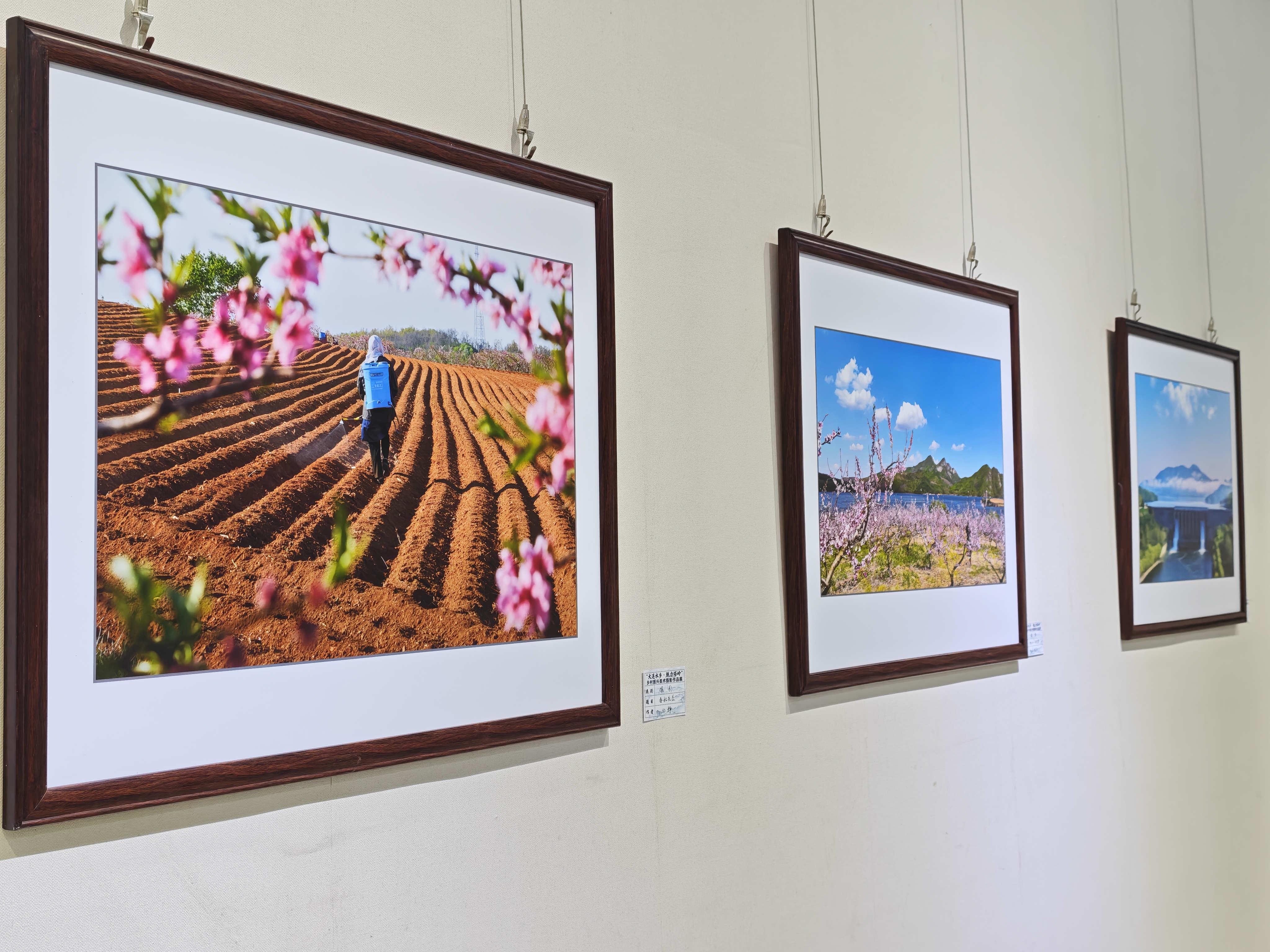 参展作品(许竞文 摄)