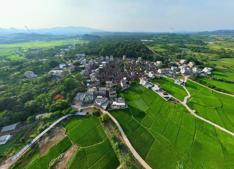 高桥村航拍全景(黄国云 摄)