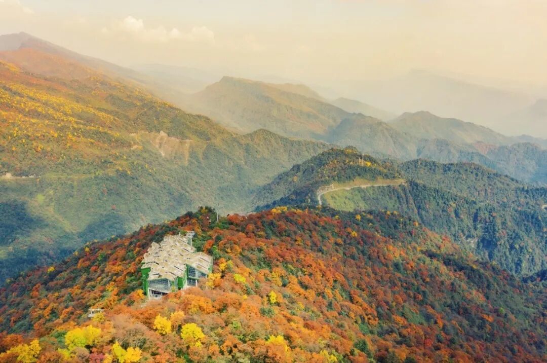 瓦屋山彩林(李勇军 摄)