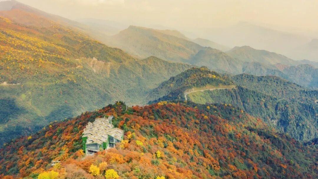 秋色渐浓 洪雅瓦屋山启动金秋彩林徒步季