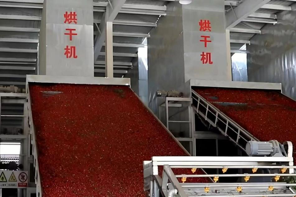 米吉克乡亚曼苏村辣椒加工车间(张文慧 摄)