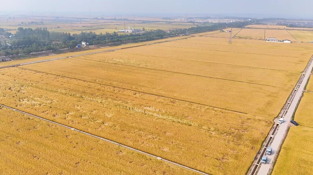 黄淮地区粮食生产技术集成创新高地航拍(张昕 摄)