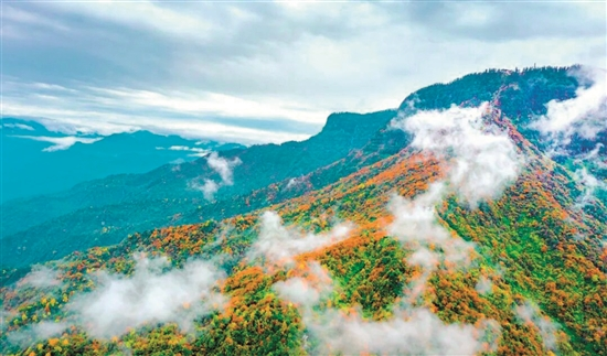 瓦屋山彩林(李勇军 摄)