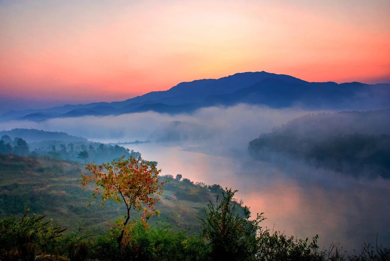 大悟赏红叶美景 (易荣波 摄)