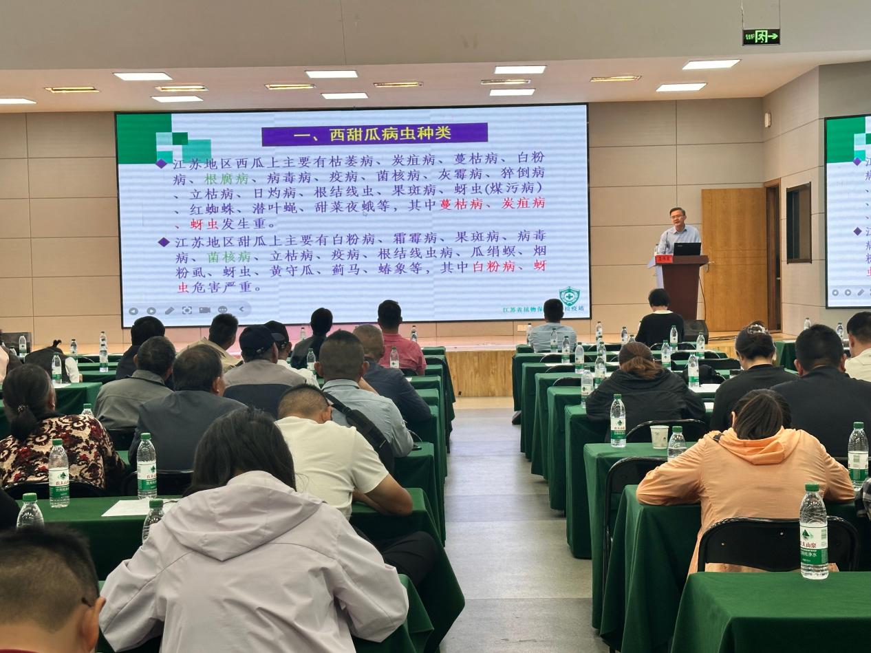 “设施西瓜双减提质增效生产技术”培训活动现场(刘广 摄)