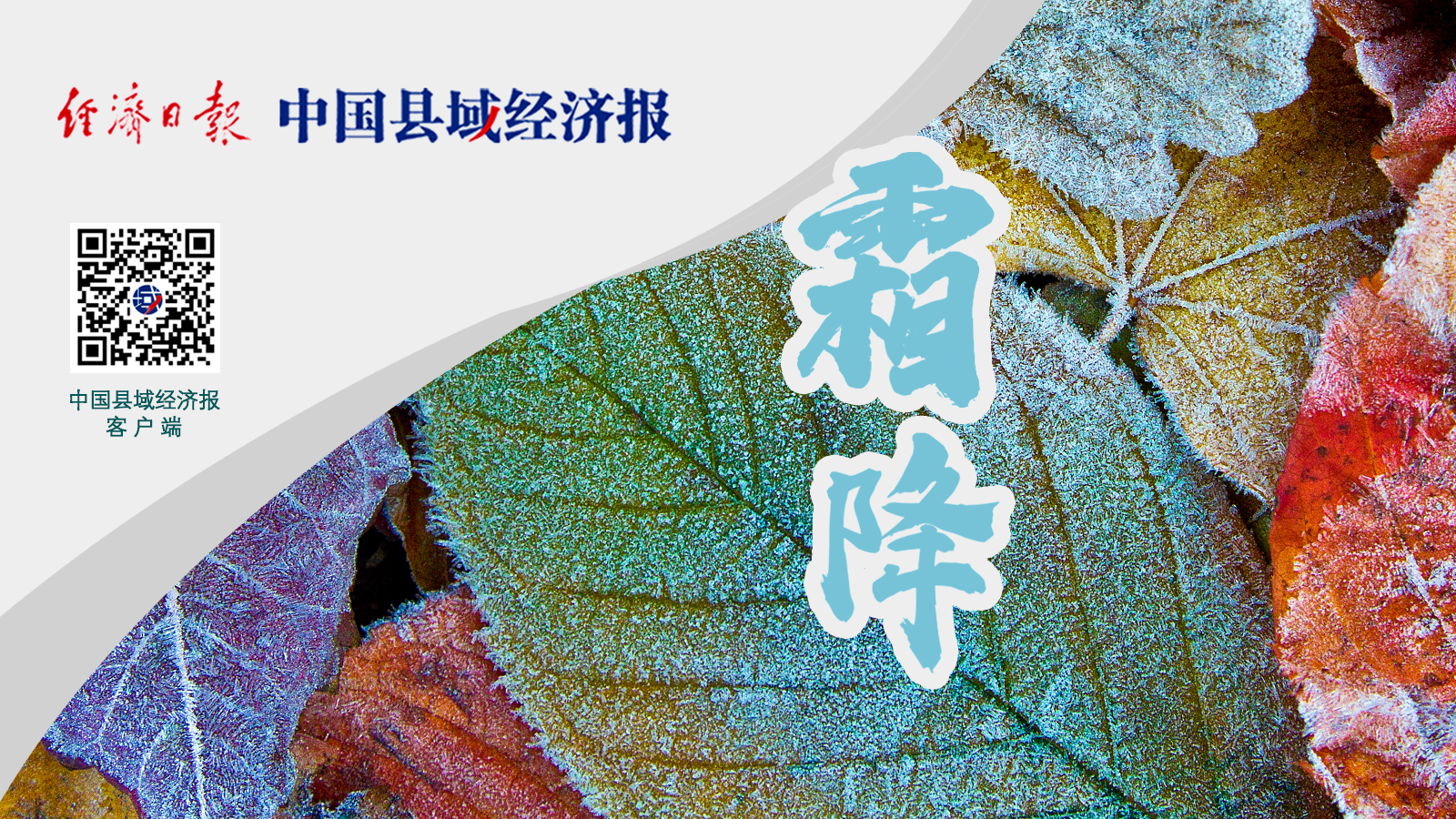 霜降 | 海报