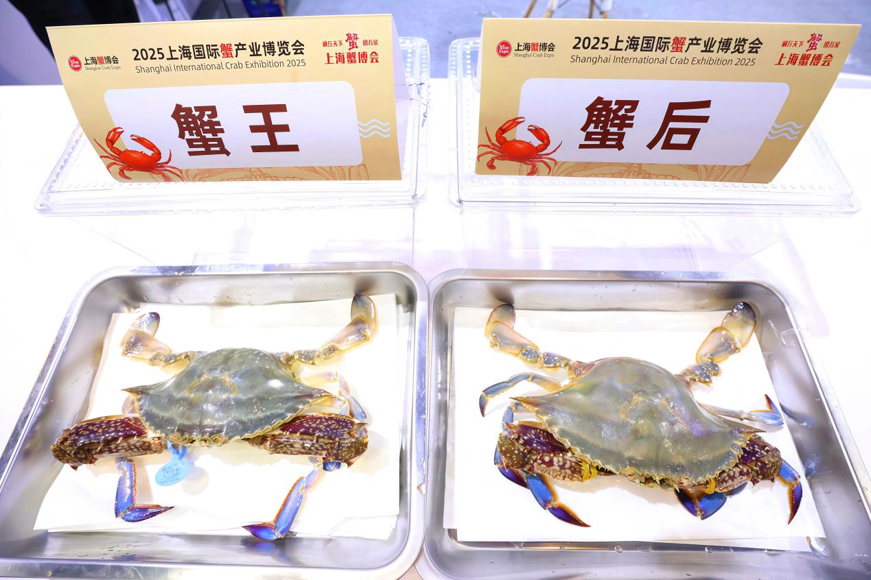 上海国际蟹产业博览会上,赣榆梭子蟹包揽“蟹王”“蟹后”双项荣誉。 (张南宁 摄)