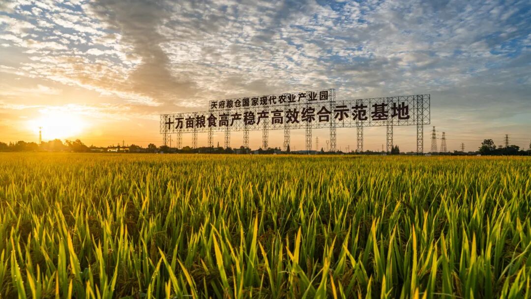 天府粮仓国家现代农业产业园(刘湘 摄)