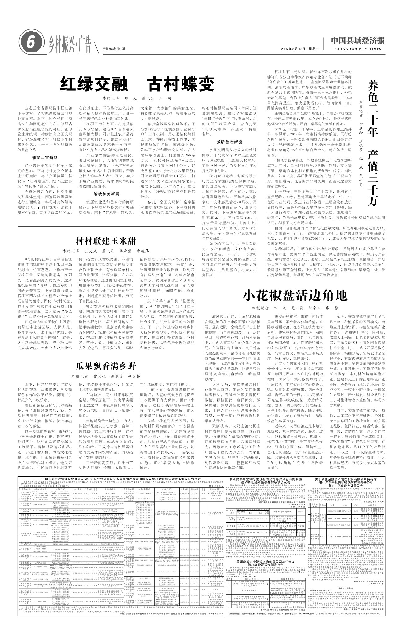 中国县域经济报-瓜果飘香满乡野