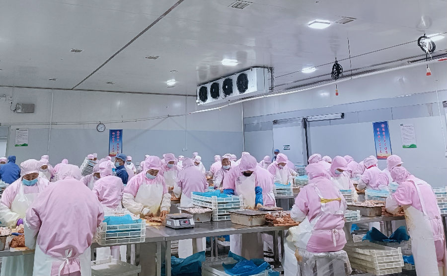 河南沣瑞食品有限公司车间工人正在赶制年货产品(王永安 摄) 河南沣瑞食品有限公司车间工人正在赶制年货产品(王永安 摄)