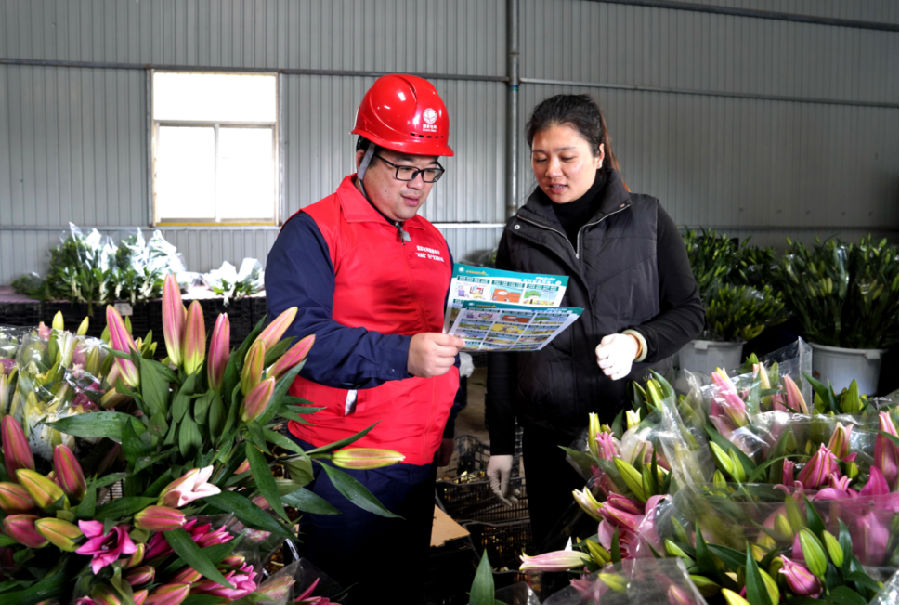 供电人员向种植户宣传安全用电知识 (陈书忠 摄) 供电人员向种植户宣传安全用电知识 (陈书忠 摄)