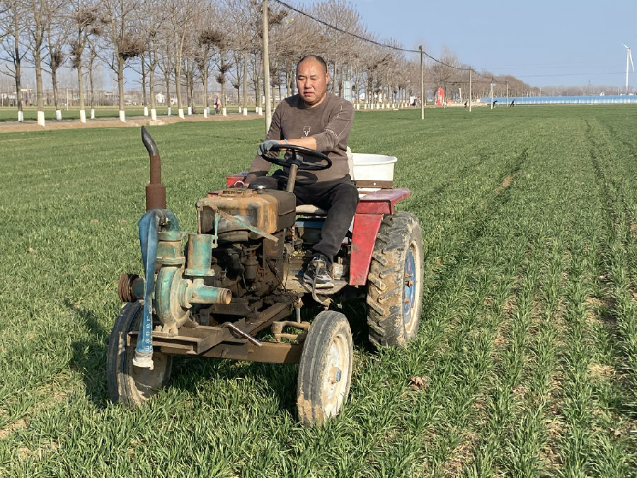商水县青禾家庭农场对苗情较弱小麦追施水溶肥 （赵永昌 摄）