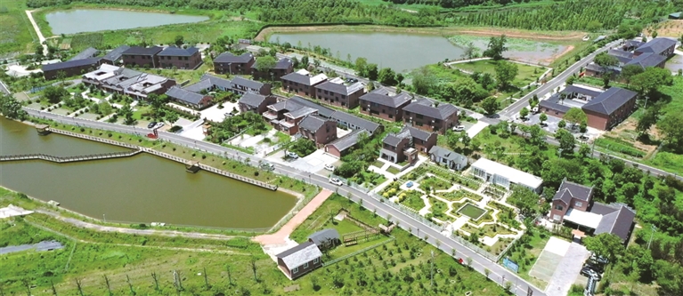 东宝区牌楼镇来龙村共享民宿 通讯员 常 伟摄